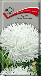 Астра Белое безмолвие (Поиск) - Сезон у Дачи