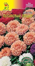 Астра Бордюр Персиковый (ЦС) - Сезон у Дачи