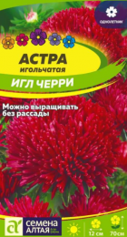 Астра Черри Игл (Сем Алт) - Сезон у Дачи