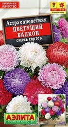 Астра Цветущий Балкон смесь (Аэлита) - Сезон у Дачи