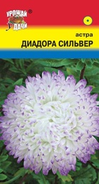 Астра Диадора Сильвер (УУ) - Сезон у Дачи