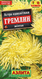 Астра Гремлин желтая (Аэлита) - Сезон у Дачи