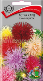 Астра Харц Смесь окрасок (ПОИСК) - Сезон у Дачи