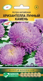 Астра ХРИЗАНТЕЛЛА Лунный Камень китайская (Евросемена) - Сезон у Дачи
