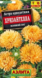 Астра Хризантелла Осенний лес (Аэлита) - Сезон у Дачи