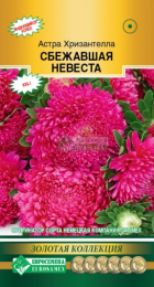 Астра ХРИЗАНТЕЛЛА Сбежавшая невеста китайская (Евросемена) - Сезон у Дачи