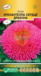 Астра ХРИЗАНТЕЛЛА Сердце дракона китайская (Евросемена) - Сезон у Дачи