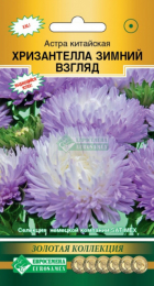 Астра ХРИЗАНТЕЛЛА Зимний Взгляд китайская (Евросемена) - Сезон у Дачи
