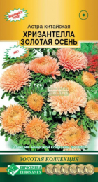 Астра ХРИЗАНТЕЛЛА Золотая Осень китайская (Евросемена) - Сезон у Дачи