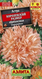 Астра Королевский размер Абрикосовая - Сезон у Дачи
