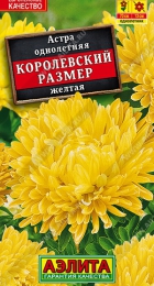 Астра Королевский размер Желтая - Сезон у Дачи