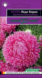 Астра Леди Корал бриллиантово-розовая (Г) - Сезон у Дачи