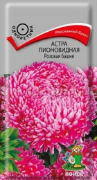 Астра пионовидная Розовая башня - Сезон у Дачи