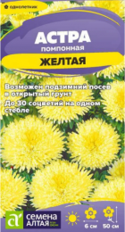Астра Помпонная Желтая (СемАлт) - Сезон у Дачи