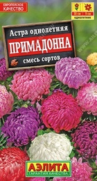 Астра Примадонна смесь (Аэлита) - Сезон у Дачи