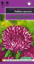 Астра Риббон красная (Гавриш) - Сезон у Дачи