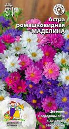 Астра ромашковидная Маделина (УД) - Сезон у Дачи