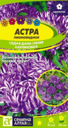 Астра Седая Дама Синяя карликовая 0,2гр (СемАлт) - Сезон у Дачи