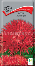 Астра Татьянин день (Поиск) - Сезон у Дачи