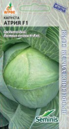 Капуста б/к Атрия F1 (Агрос) - Сезон у Дачи