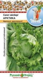 Салат Айсберг Арктика F1 - Сезон у Дачи