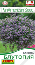 Бакопа Блутопия (Аэлита) - Сезон у Дачи