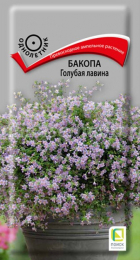 Бакопа Голубая лавина (ПОИСК) - Сезон у Дачи