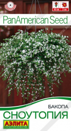 Бакопа Сноутопия (Аэлита) - Сезон у Дачи