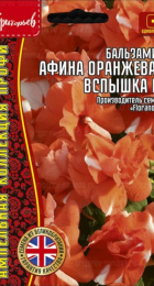 Бальзамин Афина Оранжевая Вспышка F1 ампельный (Athena Orange Flash) /Floranova (Григорьев) - Сезон у Дачи