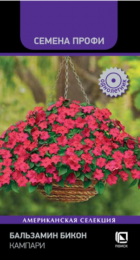 Бальзамин Бикон Кампари /Семена Профи (Поиск) - Сезон у Дачи