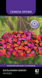 Бальзамин Бикон Малибу /Семена Профи (Поиск) - Сезон у Дачи