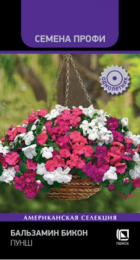 Бальзамин Бикон Пунш /Семена Профи (Поиск) - Сезон у Дачи