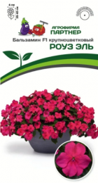 Бальзамин Уоллера Роуз Эль F1 (Партнер) - Сезон у Дачи