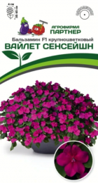 Бальзамин Уоллера Вайлет Сенсейшн F1 (Партнер) - Сезон у Дачи