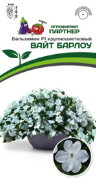 Бальзамин Уоллера Вайт Барлоу F1 крупноцветковый (Партнер) - Сезон у Дачи