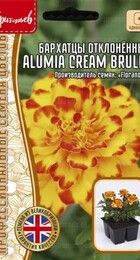 Бархатцы Alumia Cream Brulee отклоненные - Сезон у Дачи