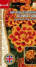 Бархатцы Alumia Flame отклонённые - Сезон у Дачи