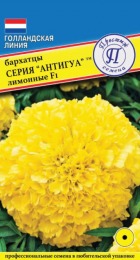 Бархатцы Антигуа F1 Лимонные прямостоячие (Престиж) - Сезон у Дачи