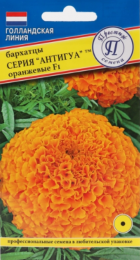 Бархатцы Антигуа F1 Оранжевые прямостоячие (Престиж) - Сезон у Дачи