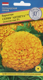 Бархатцы Антигуа F1 Золотистые прямостоячие (Престиж) - Сезон у Дачи