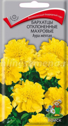 Бархатцы Аура желтая (Поиск) - Сезон у Дачи