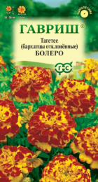 Бархатцы Болеро* отклоненные (Гавриш) - Сезон у Дачи