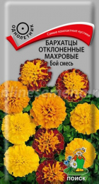 Бархатцы Бой смесь отклоненные махровые (ПОИСК) - Сезон у Дачи