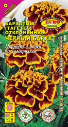 Бархатцы Черный бархат отклоненные (Аэлита Экстра) - Сезон у Дачи