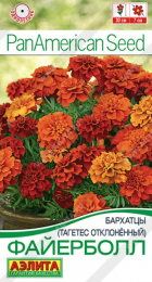 Бархатцы Файерболл отклоненные (Аэлита) - Сезон у Дачи