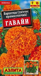 Бархатцы Гавайи прямостоячие (Аэлита) - Сезон у Дачи