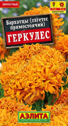 Бархатцы Геркулес прямостоячие (Аэлита) - Сезон у Дачи