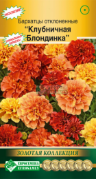 Бархатцы Клубничная блондинка отклоненные (Евросемена) - Сезон у Дачи