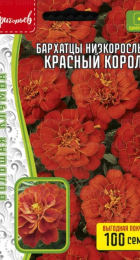Бархатцы Красный Король низкорослые махровые (Григорьев) - Сезон у Дачи