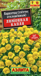 Бархатцы Лимонная капля (Аэлита) - Сезон у Дачи